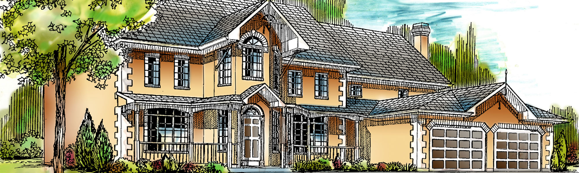 Freehand Illustrations