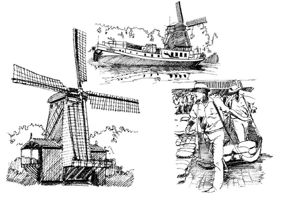 Publication Illustration